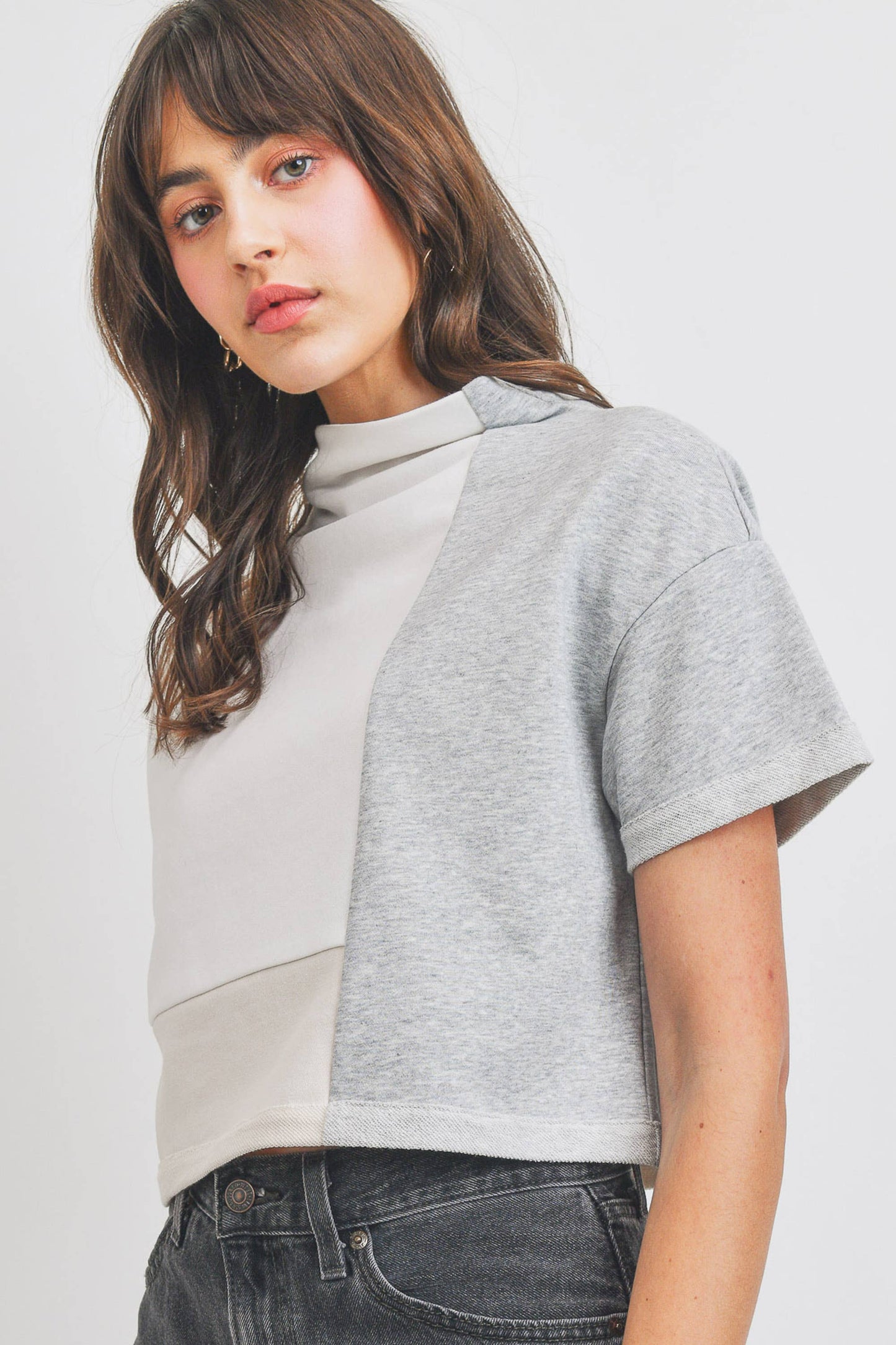 Turtle Neck Color Block Crop Top: IVORY MULTI