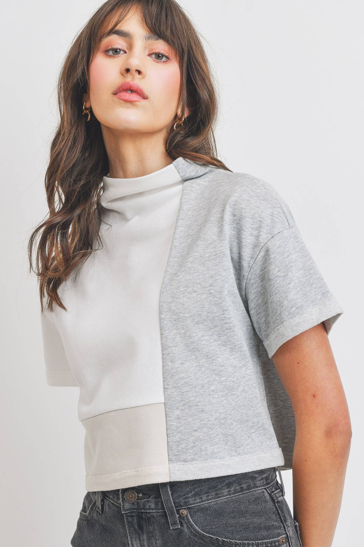 Turtle Neck Color Block Crop Top: IVORY MULTI