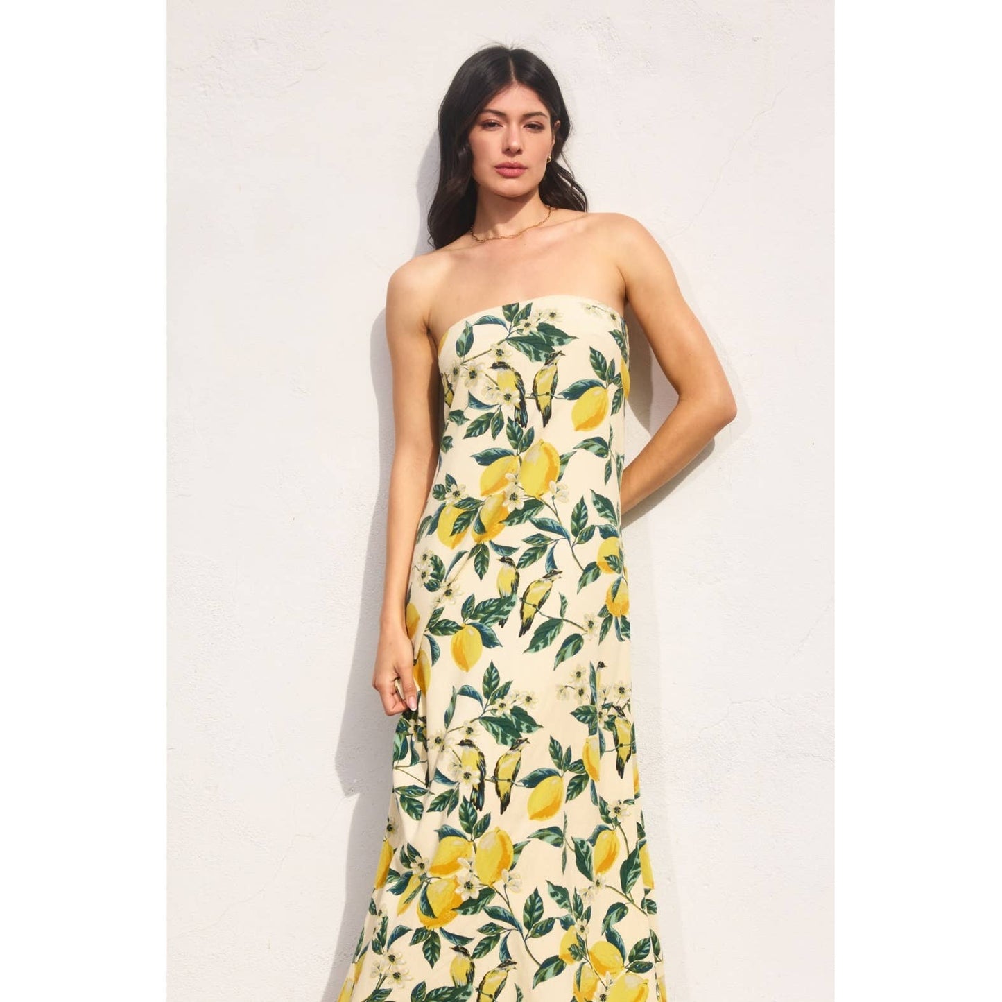 Vintage Lemonade Strapless Tie Back Maxi Dress: LEMON GARDEN / FD11869-P1919B