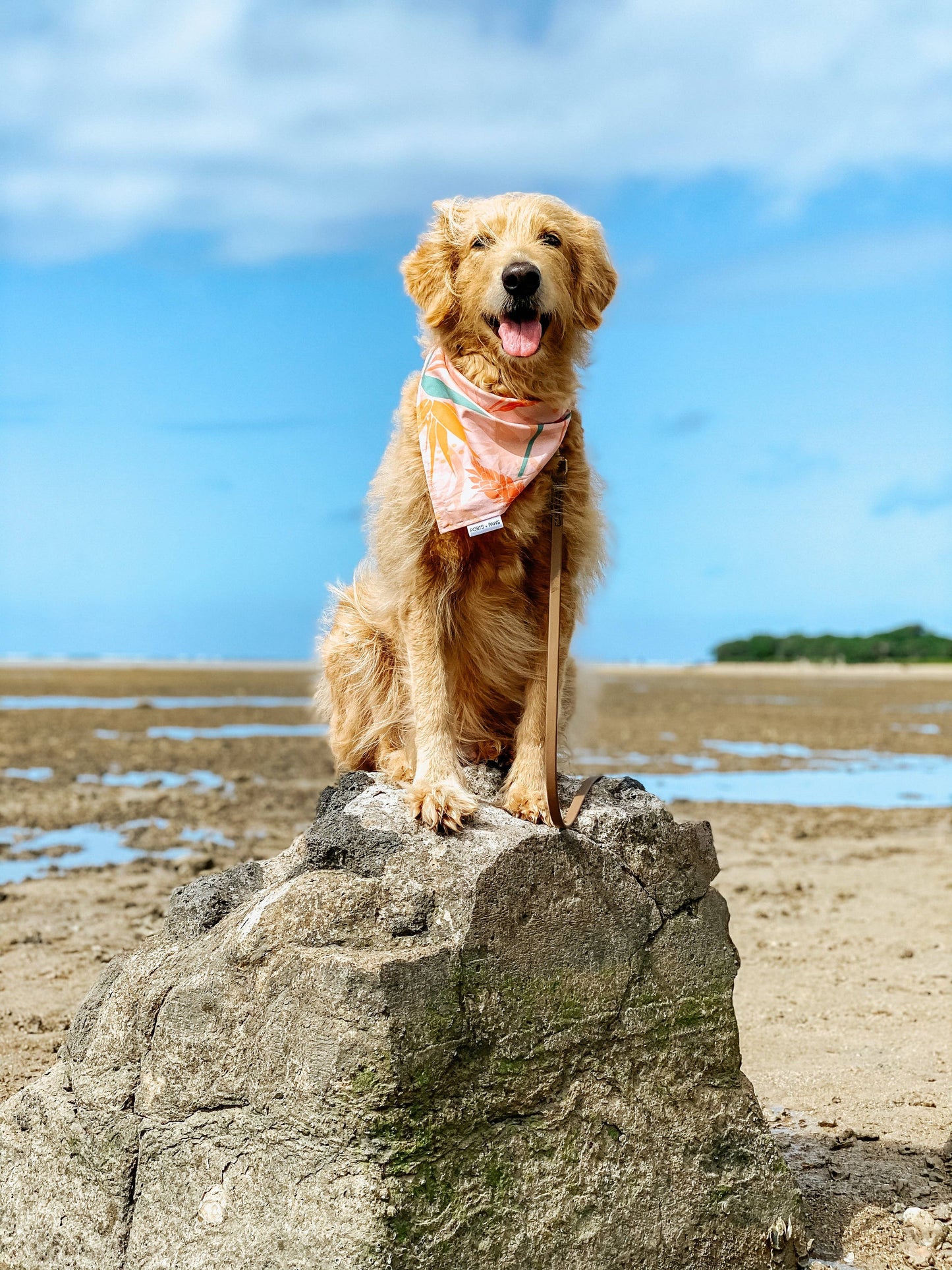 QUICK DRY BANDANA - PAIKO: MEDIUM