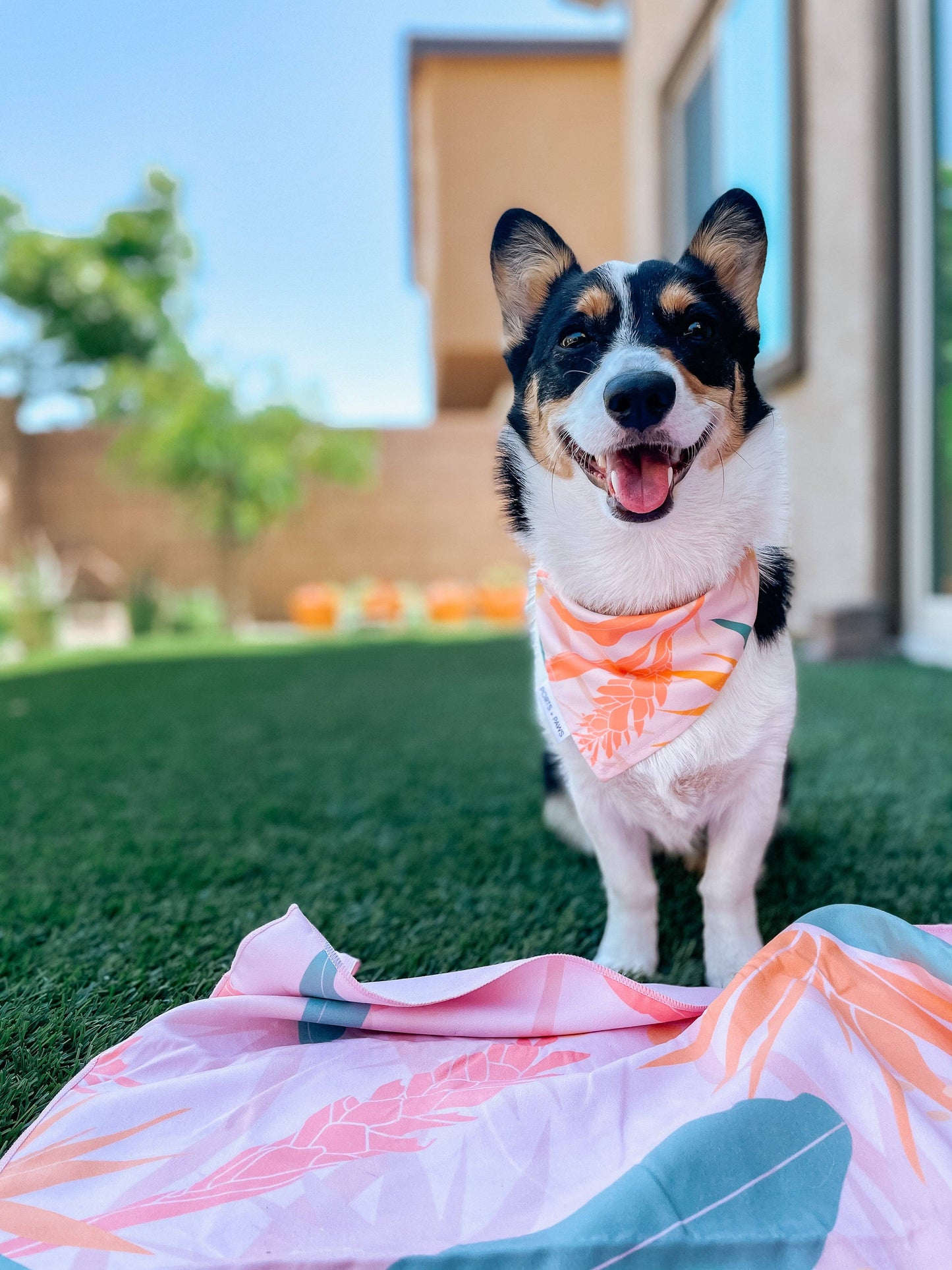 QUICK DRY BANDANA - PAIKO: MEDIUM