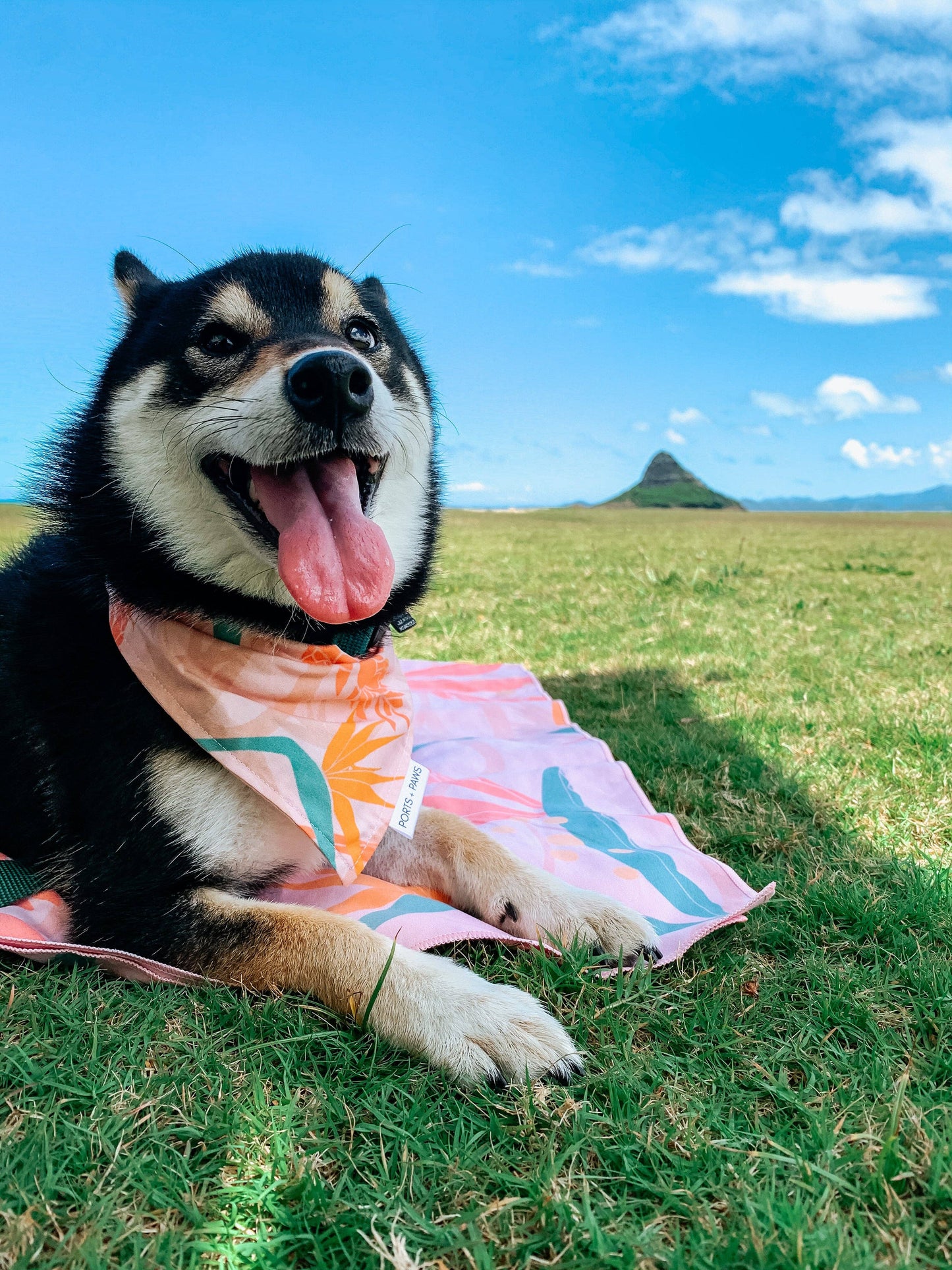 QUICK DRY BANDANA - PAIKO: MEDIUM