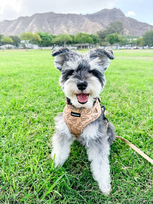 Shaka Latte Neoprene Harness: L