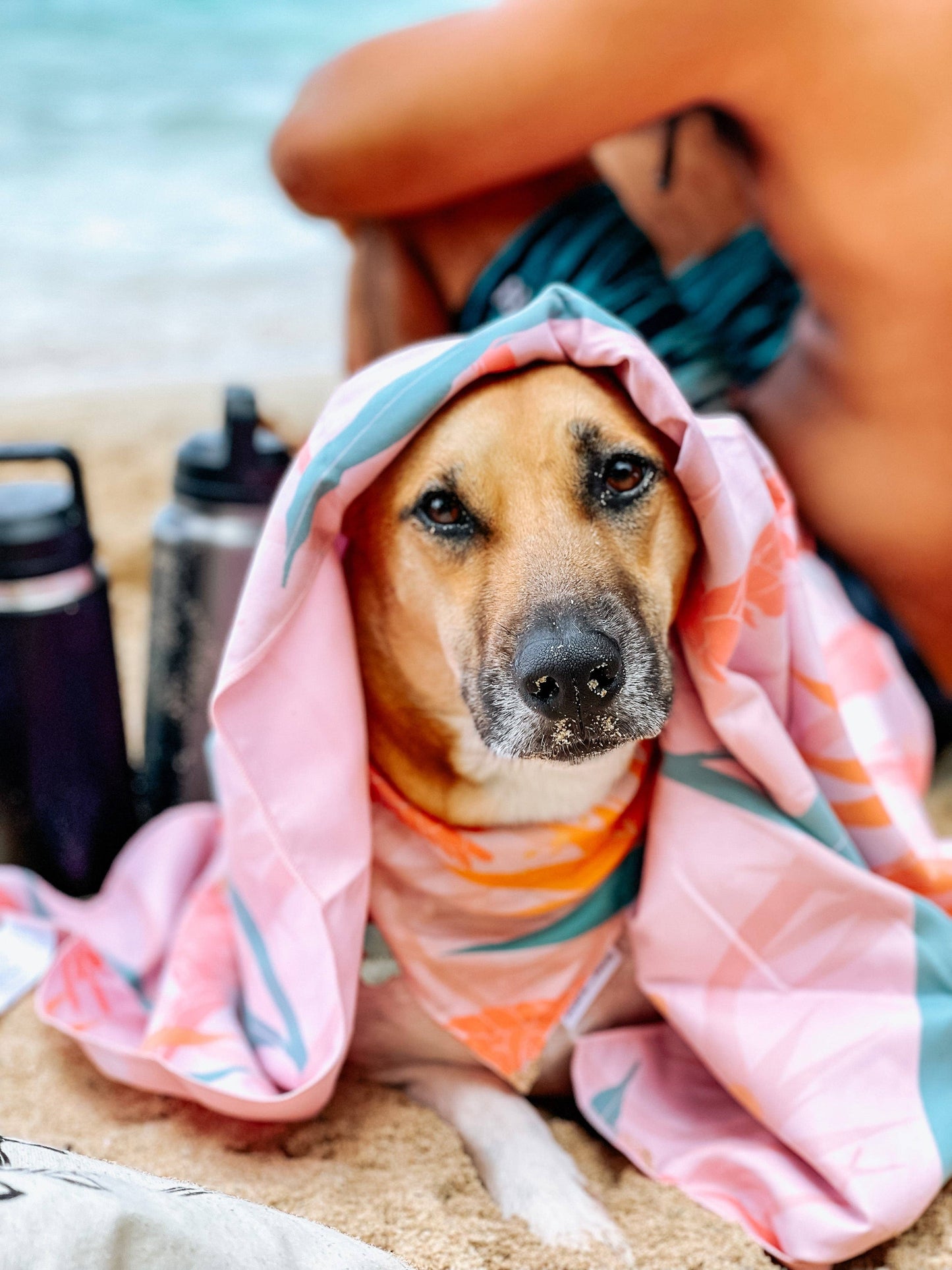 QUICK DRY BANDANA - PAIKO: MEDIUM