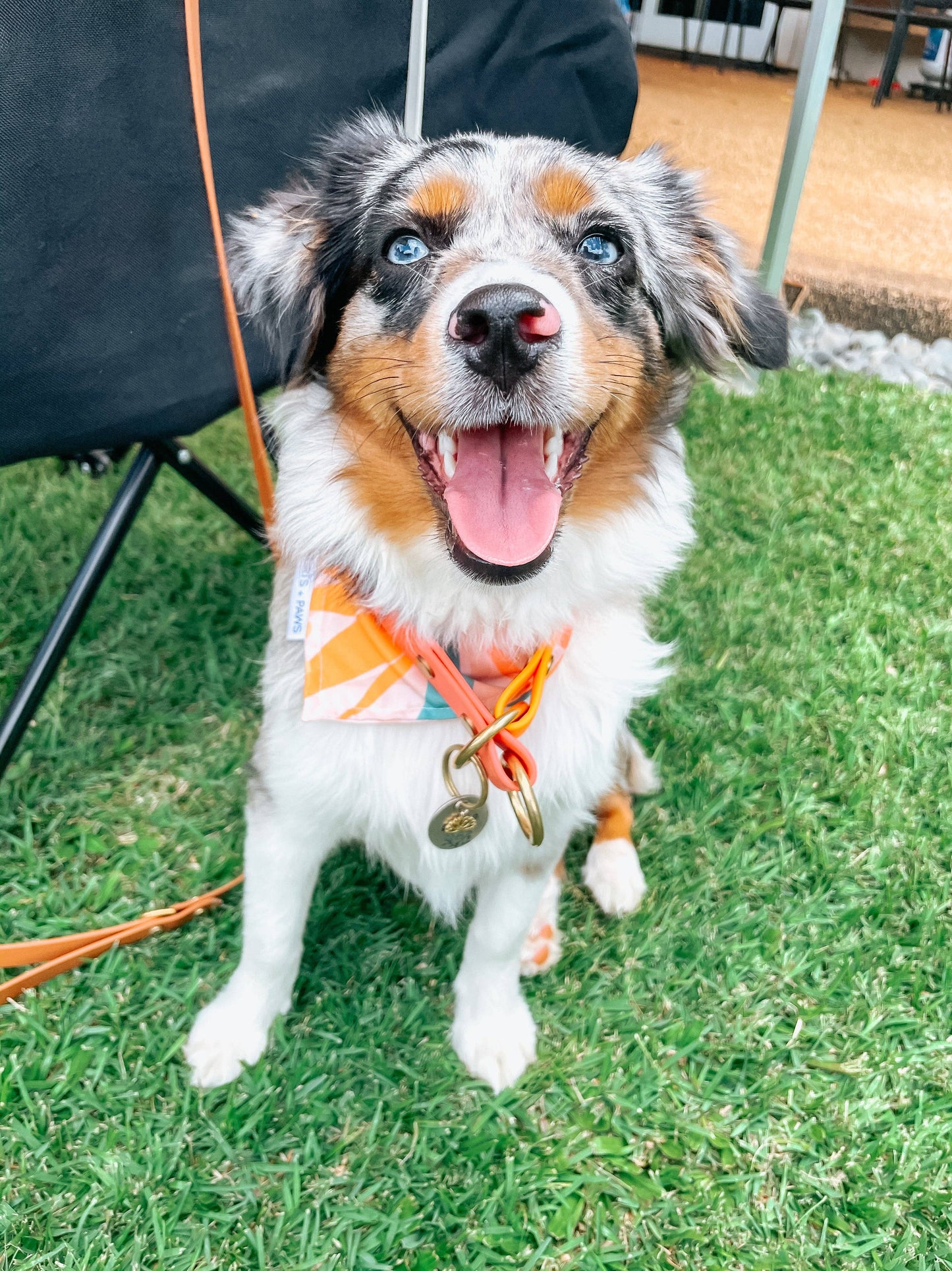 QUICK DRY BANDANA - PAIKO: MEDIUM