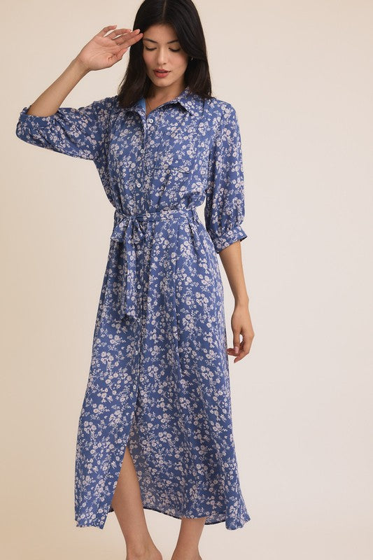 ED2111 blue 2412 gilli