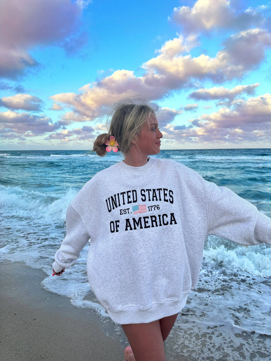 United States Of America Embroider Flag Sweatshirt: Pearl Grey
