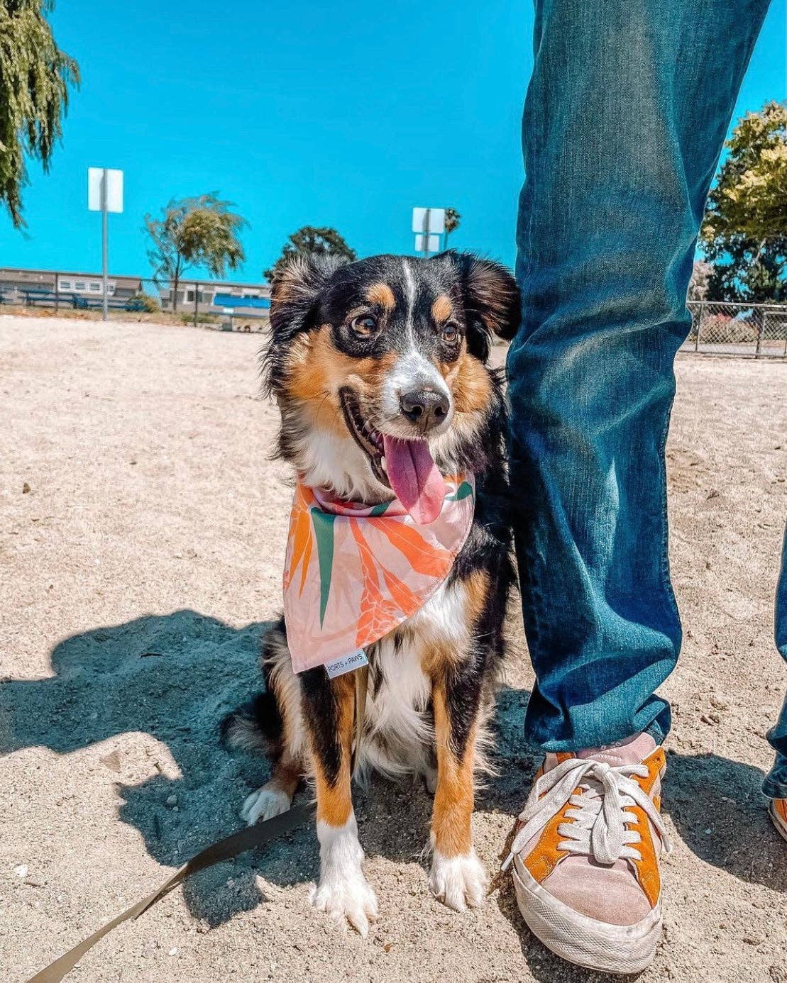 QUICK DRY BANDANA - PAIKO: MEDIUM