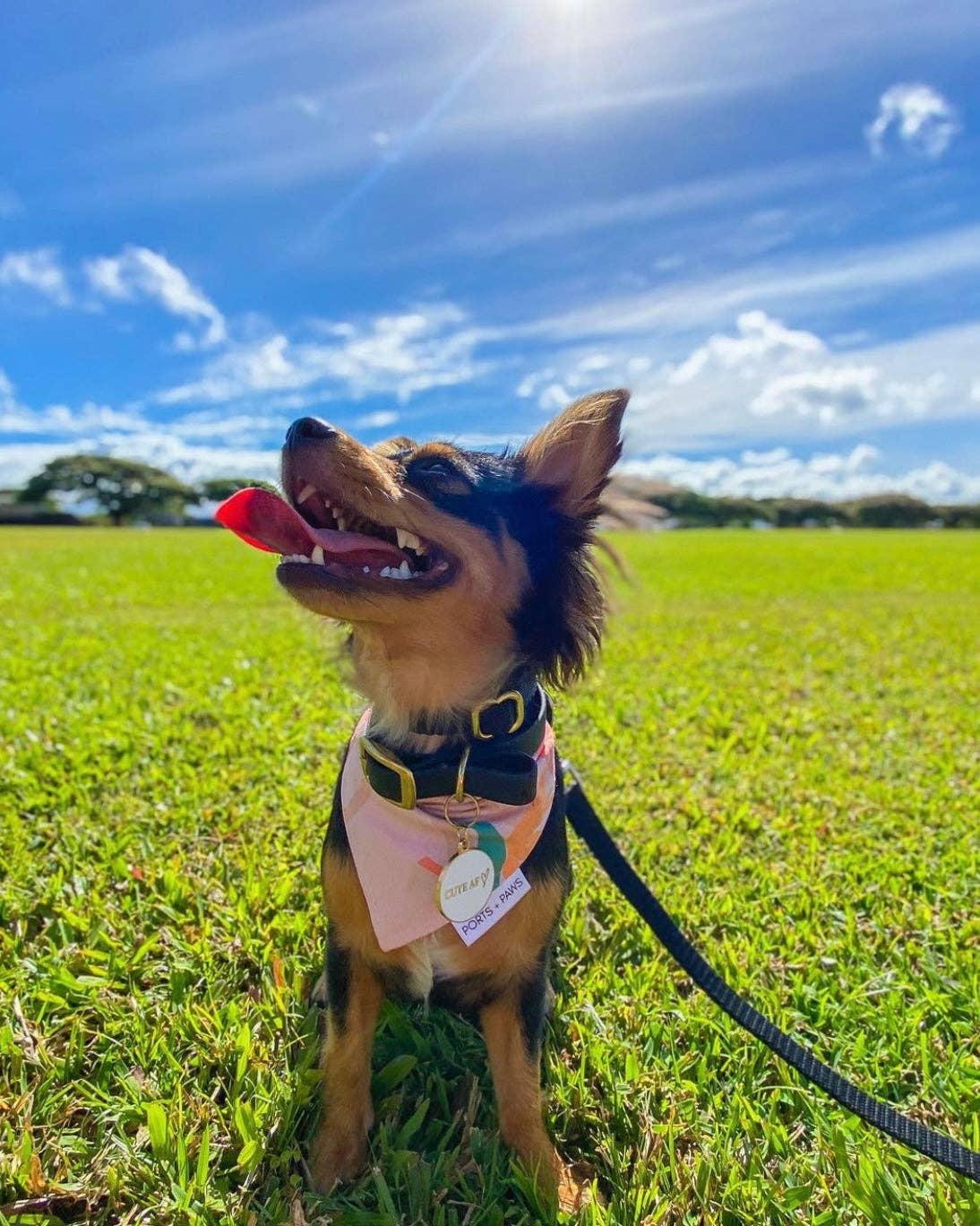 QUICK DRY BANDANA - PAIKO: MEDIUM