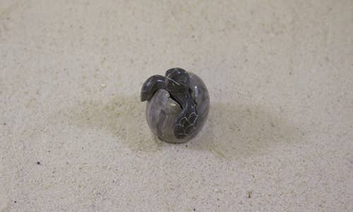 2" Hatchling Marble Turtle (S0375)