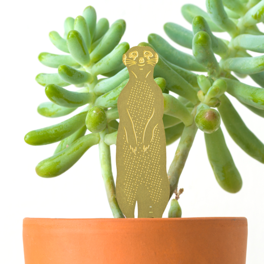 Plant Animal - Meerkat, terrarium charm