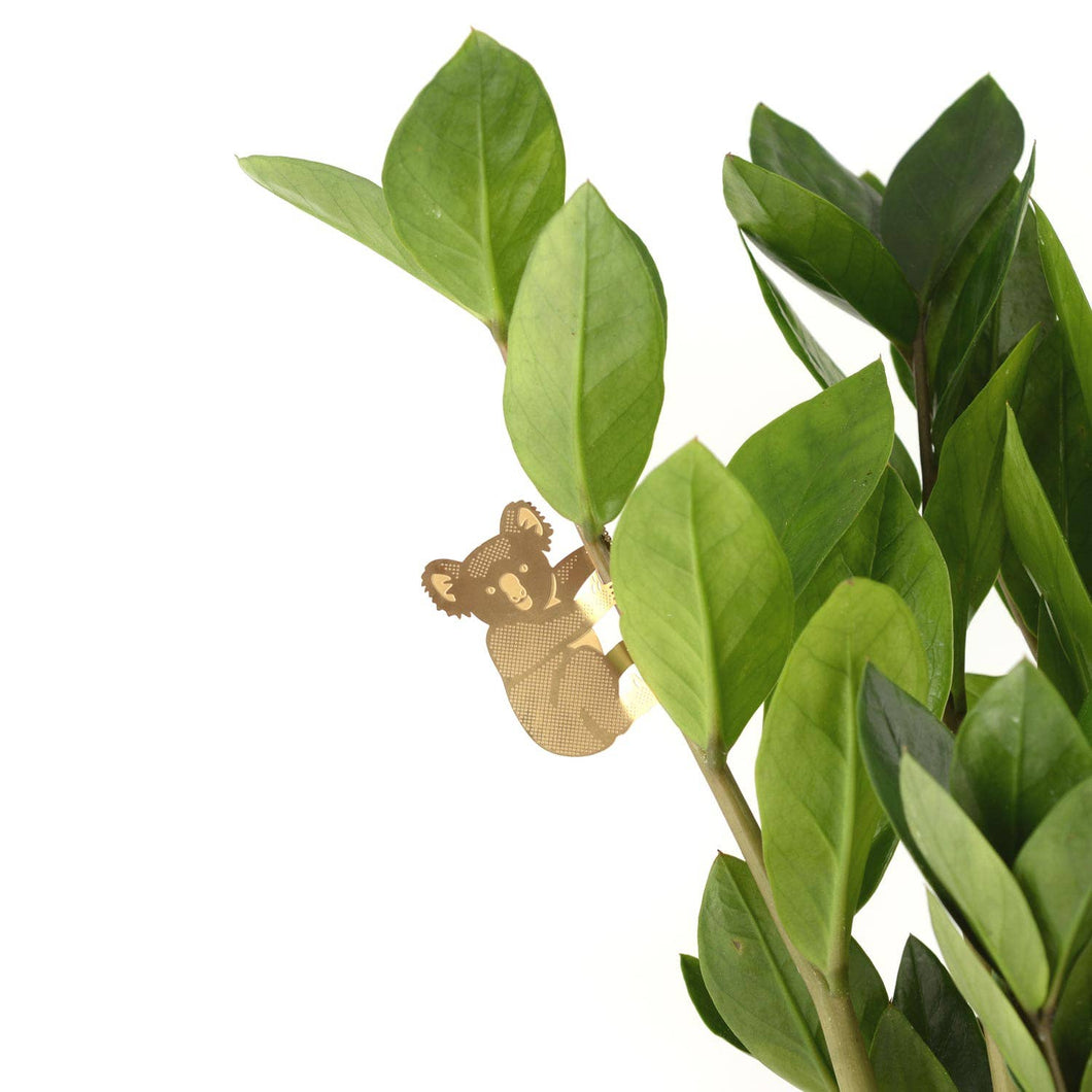 Plant Animal Decoration - Koala Bear