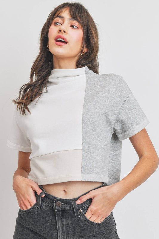 Turtle Neck Color Block Crop Top: IVORY MULTI
